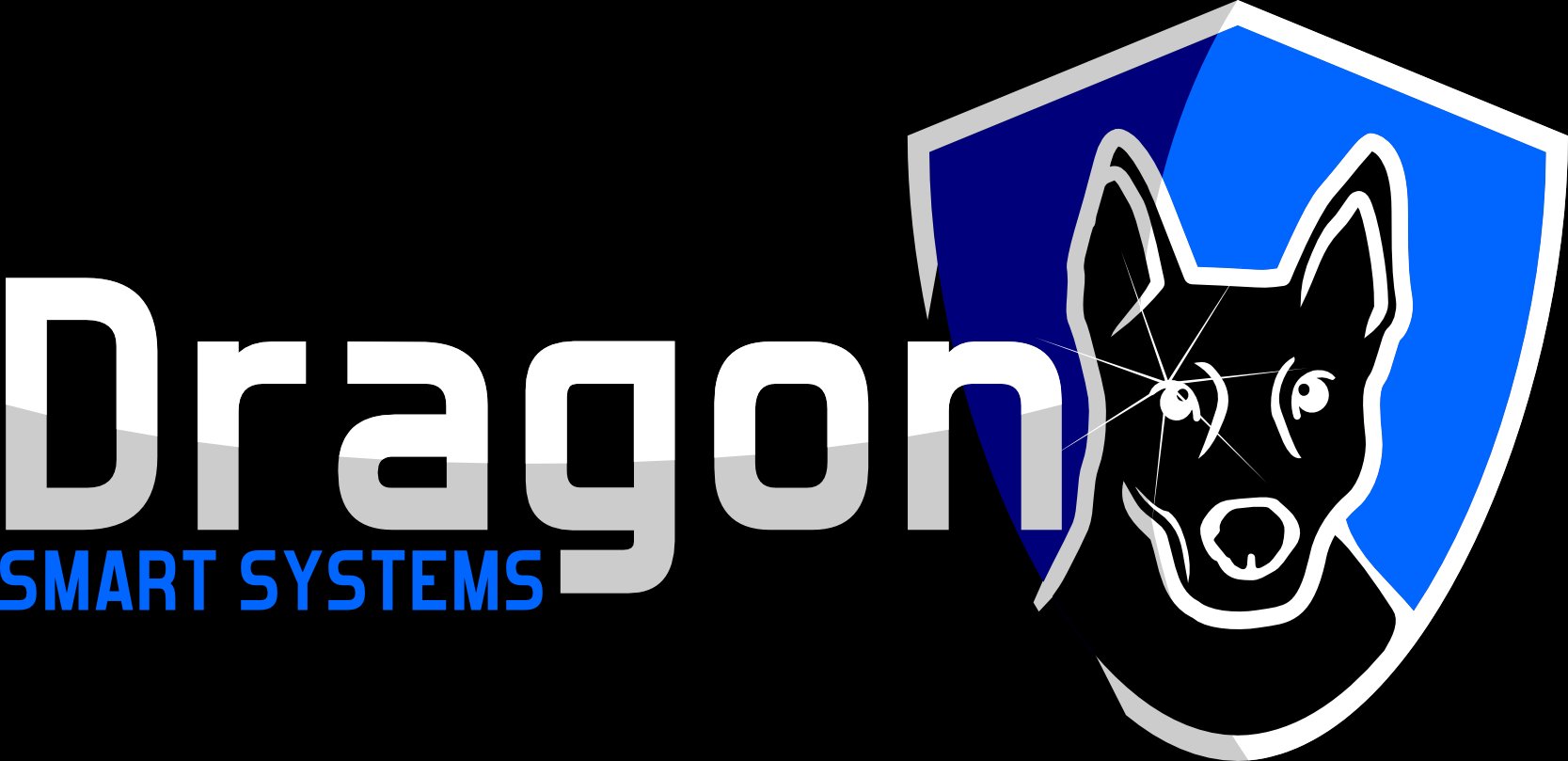 Dragon Smart Systems